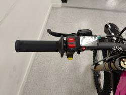 2025 Sur-ron LIGHT BEE X PINK