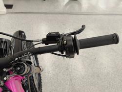 2025 Sur-ron LIGHT BEE X PINK