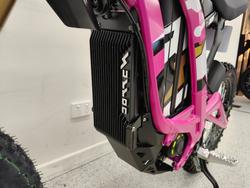 2025 Sur-ron LIGHT BEE X PINK