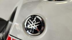 2024 Yamaha Tenere 700 (XTZ690) Tenere White