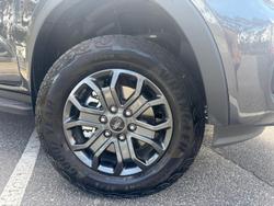 2025 Ford Ranger Wildtrak