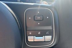 2025 GWM Cannon Vanta