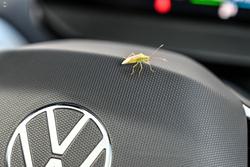 2025 Volkswagen
ID.4 Pro