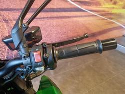 2025 Kawasaki Z1000 ABS Z Green