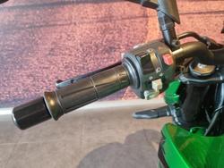 2025 Kawasaki Z1000 ABS Z Green