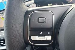 2025 GWM Cannon Vanta