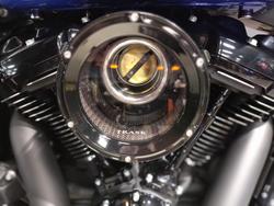 2025 Harley-Davidson Fat Boy 117 (FLFB) Softail Blue