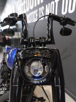 2025 Harley-Davidson Fat Boy 117 (FLFB) Softail Blue