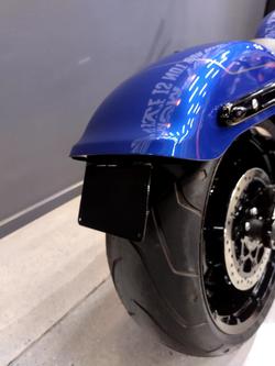 2025 Harley-Davidson Fat Boy 117 (FLFB) Softail Blue