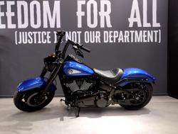 2025 Harley-Davidson Fat Boy 117 (FLFB) Softail Blue