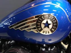 2025 Harley-Davidson Fat Boy 117 (FLFB) Softail Blue