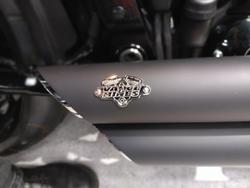 2025 Harley-Davidson Fat Boy 117 (FLFB) Softail Blue