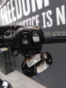 2025 Harley-Davidson Fat Boy 117 (FLFB) Softail Blue