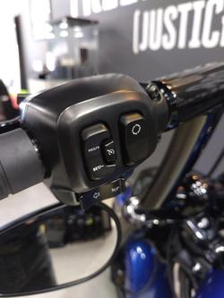 2025 Harley-Davidson Fat Boy 117 (FLFB) Softail Blue