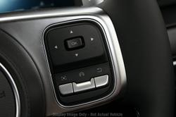 2025 GWM
Tank 300 Ultra