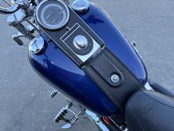 HARLEY-DAVIDSON 2008 HARLEY DAVIDSON 1584CC SOFTAIL CUSTOM