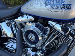 HARLEY-DAVIDSON 2008 HARLEY DAVIDSON 1584CC SOFTAIL CUSTOM