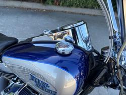 HARLEY-DAVIDSON 2008 HARLEY DAVIDSON 1584CC SOFTAIL CUSTOM