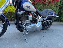 HARLEY-DAVIDSON 2008 HARLEY DAVIDSON 1584CC SOFTAIL CUSTOM