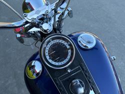 HARLEY-DAVIDSON 2008 HARLEY DAVIDSON 1584CC SOFTAIL CUSTOM