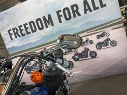 2002 Harley-davidson FXDWG DYNA WIDE GLIDE Blue