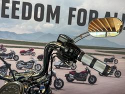 2002 Harley-davidson FXDWG DYNA WIDE GLIDE Blue