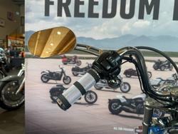 2002 Harley-davidson FXDWG DYNA WIDE GLIDE Blue