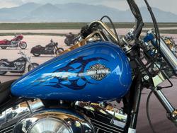 2002 Harley-davidson FXDWG DYNA WIDE GLIDE Blue