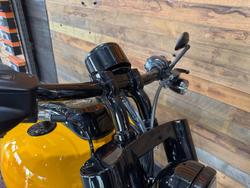 2025 Harley-Davidson Breakout 117 (FXBR) Softail