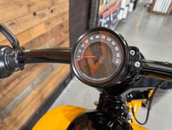 2025 Harley-Davidson Breakout 117 (FXBR) Softail