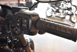 2025 Harley-davidson FXLRS LOW RIDER S (117)