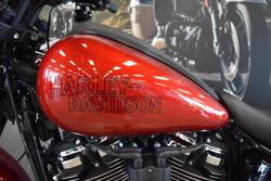 2025 Harley-davidson FXLRS LOW RIDER S (117)