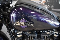 2025 Harley-davidson FXLRS LOW RIDER S (117)