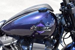 2025 Harley-davidson FXLRS LOW RIDER S (117)