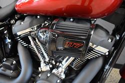 2025 Harley-davidson FXLRS LOW RIDER S (117)