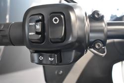 2025 Harley-davidson FXLRST LOW RIDER ST (117) VIVID BLACK