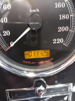 2017 Harley-Davidson Softail Deluxe 1690 (FLSTN) Softail Red