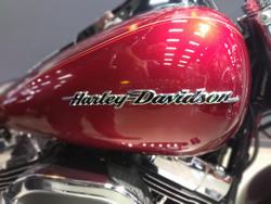 2017 Harley-Davidson Softail Deluxe 1690 (FLSTN) Softail Red