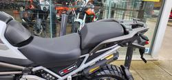 2024 Triumph TIGER 1200 RALLY PRO GREEN
