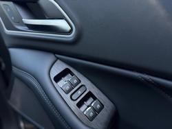 2025 GWM Cannon Vanta