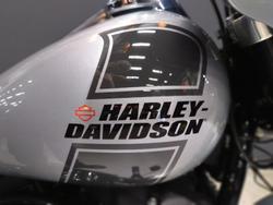 2023 Harley-Davidson Sport Glide 107 (FLSB) Softail Silver