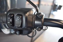 2025 Harley-davidson FXLRS LOW RIDER S (117)