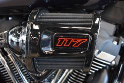 2025 Harley-davidson FXLRS LOW RIDER S (117)