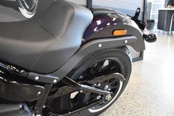 2025 Harley-davidson FXLRS LOW RIDER S (117)