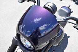 2025 Harley-davidson FXLRS LOW RIDER S (117)