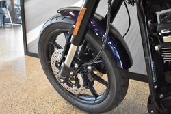 2025 Harley-davidson FXLRS LOW RIDER S (117)