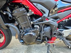 2024 Kawasaki Z900 (ZR900) RED