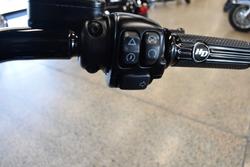 2017 Harley-davidson FLSTFBS FAT BOY S BLACK