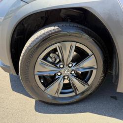 2020 Lexus UX 250h Luxury