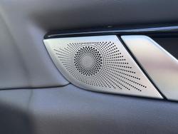 2025 GWM Cannon Alpha Ultra PHEV